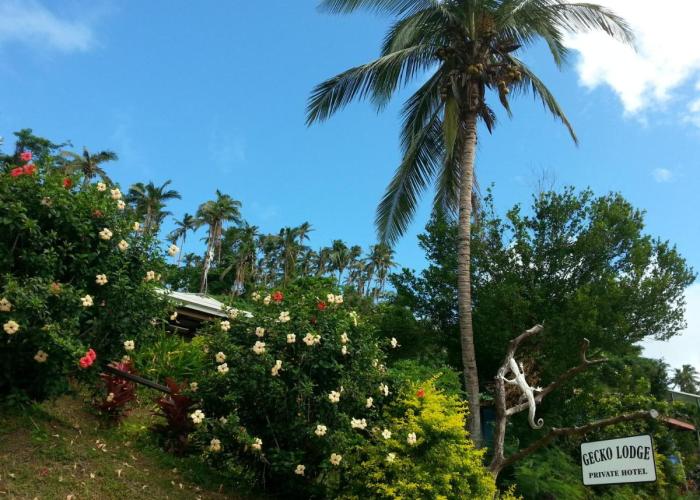 Gecko Lodge Fiji