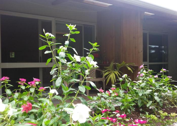 Gecko Lodge Fiji