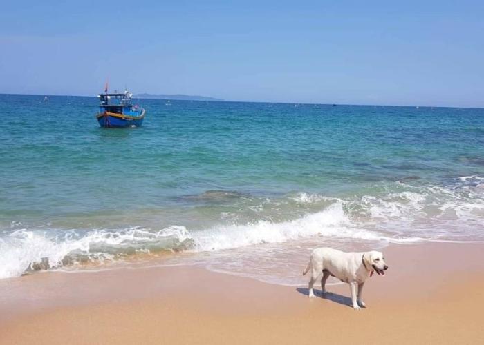Life's A Beach
