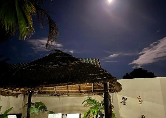 Mandinka Lodge