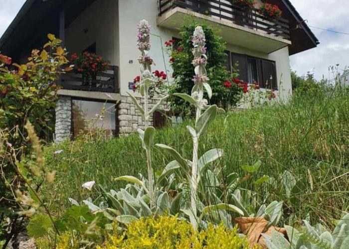 House Draga Plitvice