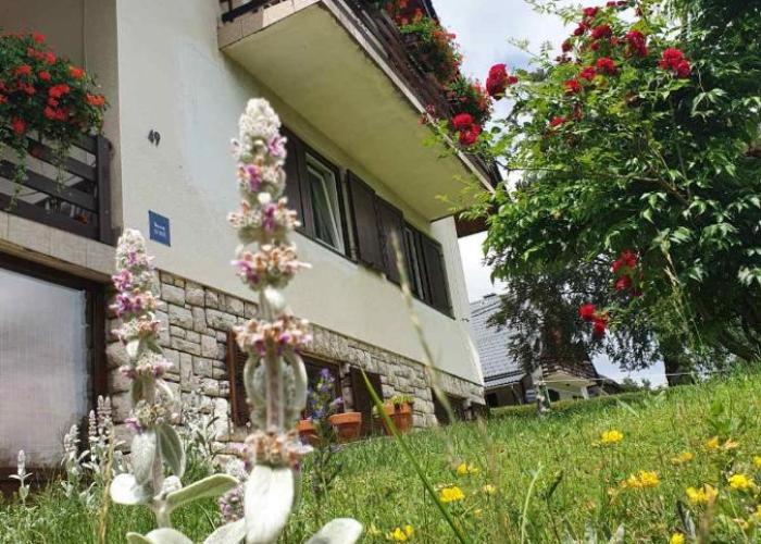 House Draga Plitvice