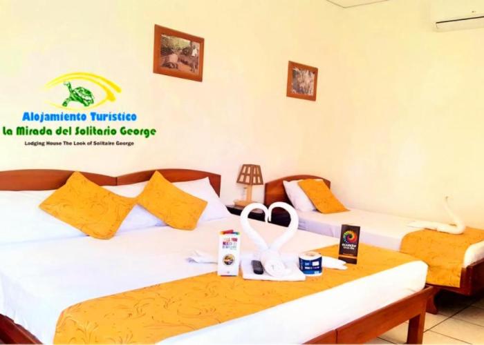 Hostal La Mirada del Solitario George
