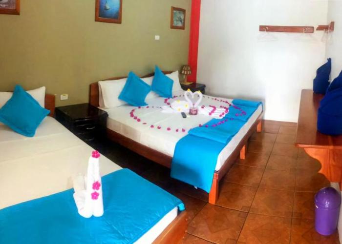 Hostal La Mirada del Solitario George