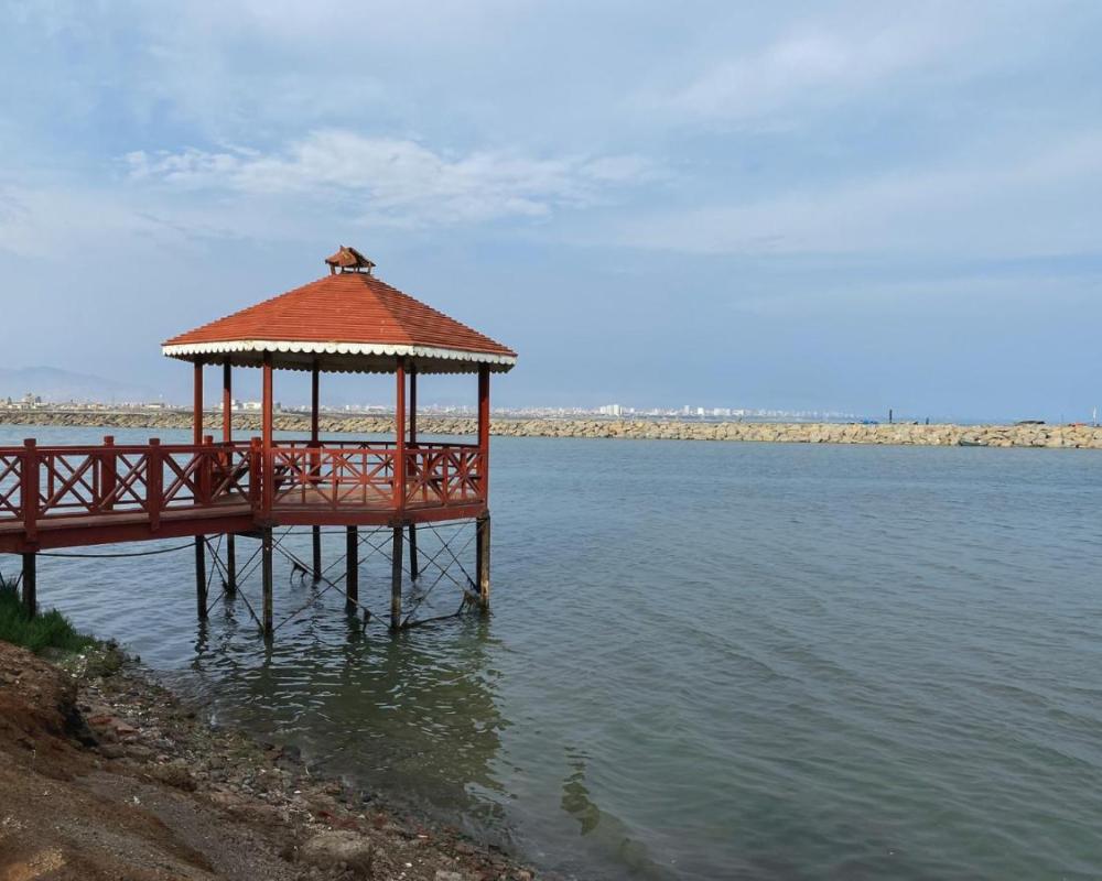 фото Villa La Punta