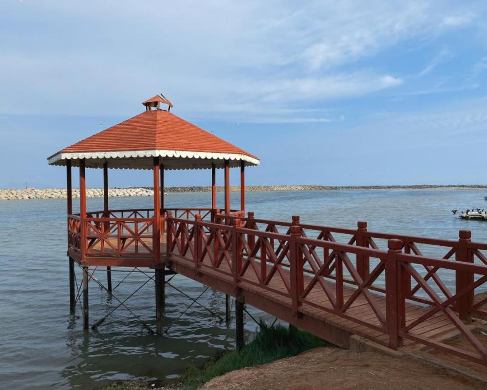 фото Villa La Punta