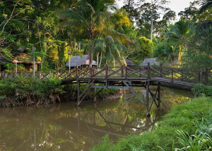 Sepilok Nature Resort