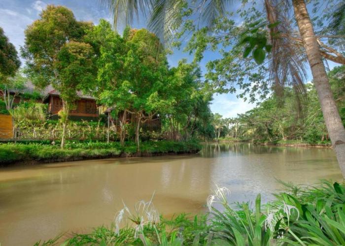 Sepilok Nature Resort