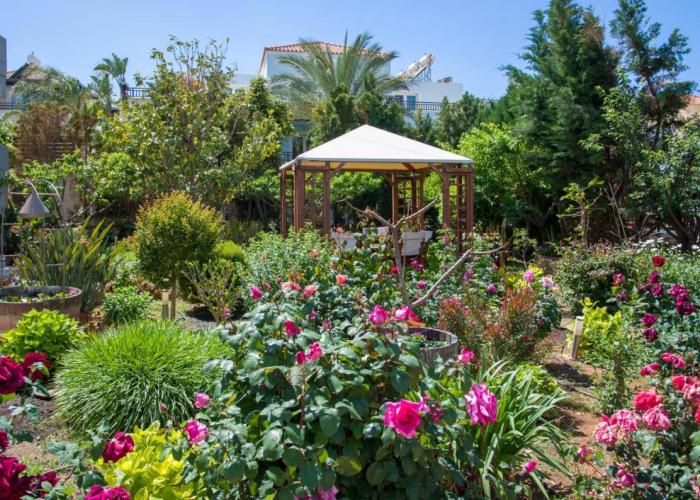 Stamatakis Boutique Studios