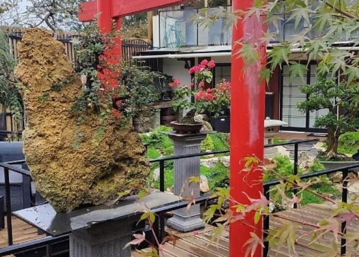 Zen Museu do Bonsai