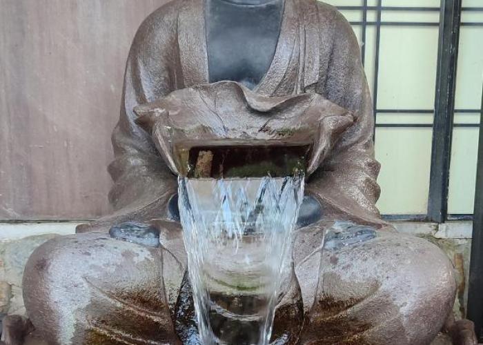 Zen Museu do Bonsai