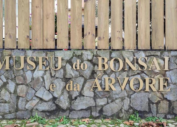 Zen Museu do Bonsai