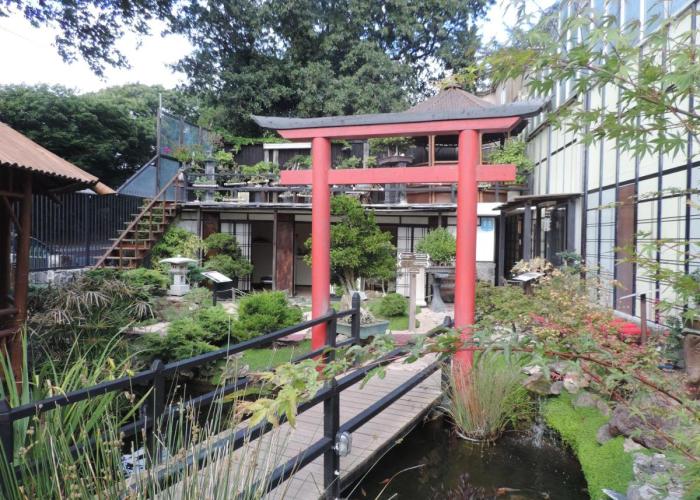 Zen Museu do Bonsai