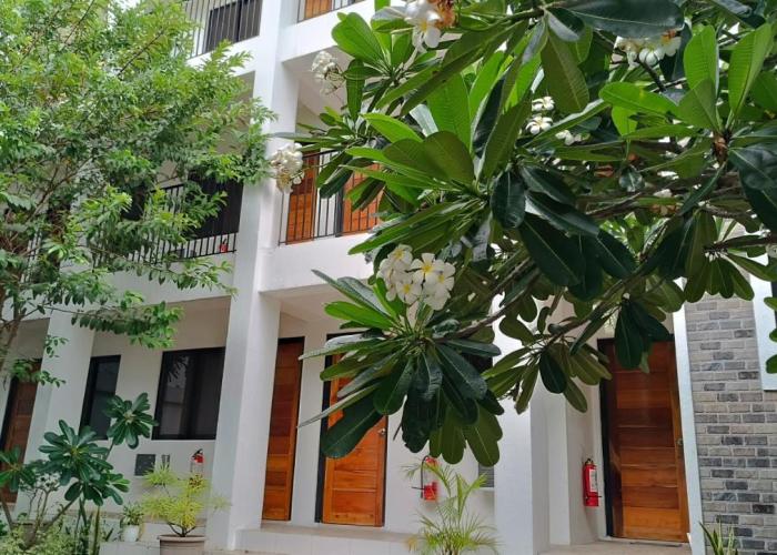 The Palines Apartment and Guesthouse