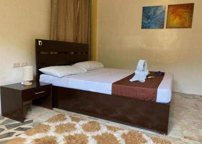 Papa Freds Beach Resort