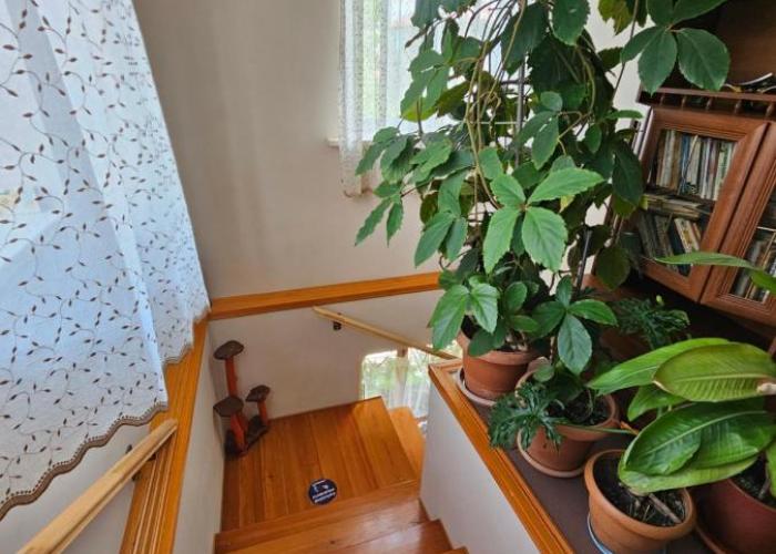 Tamari Guest House
