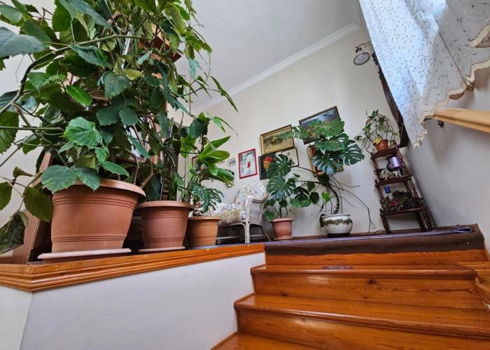 Tamari Guest House