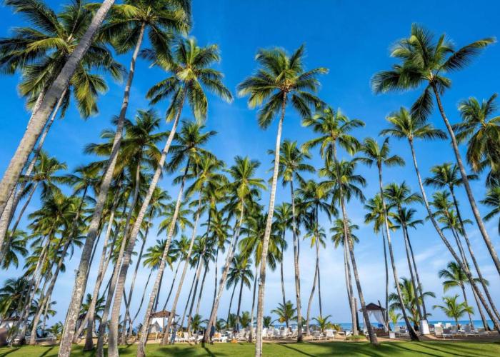 Viva Wyndham V Samana - Adults Only - All Inclusive