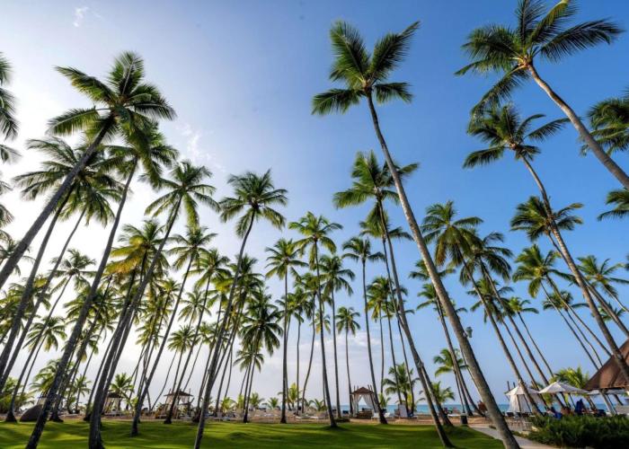 Viva Wyndham V Samana - Adults Only - All Inclusive