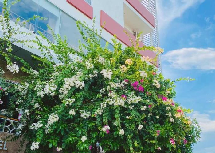 Sen Trang Hotel