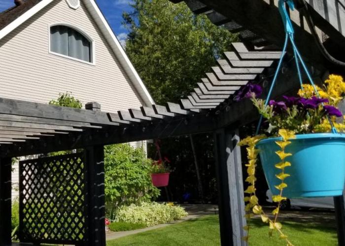 Silver Star Bed and Breakfast