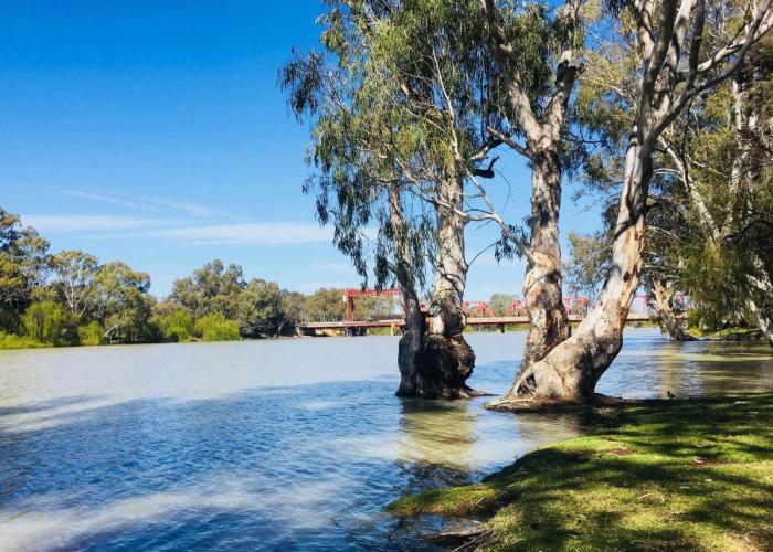 Riverbend Caravan Park Renmark
