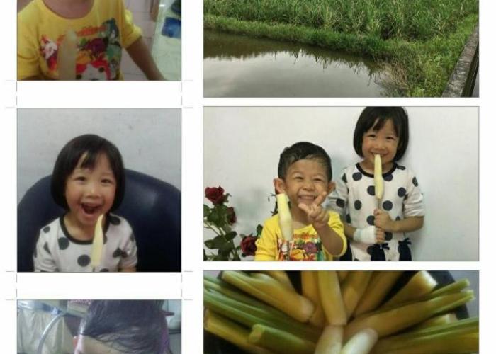 Da Nan Ao Homestay