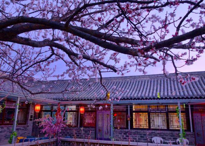 Beijing Badaling Great Wall Cao’s Courtyard Hostel