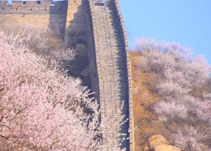 Beijing Badaling Great Wall Cao’s Courtyard Hostel