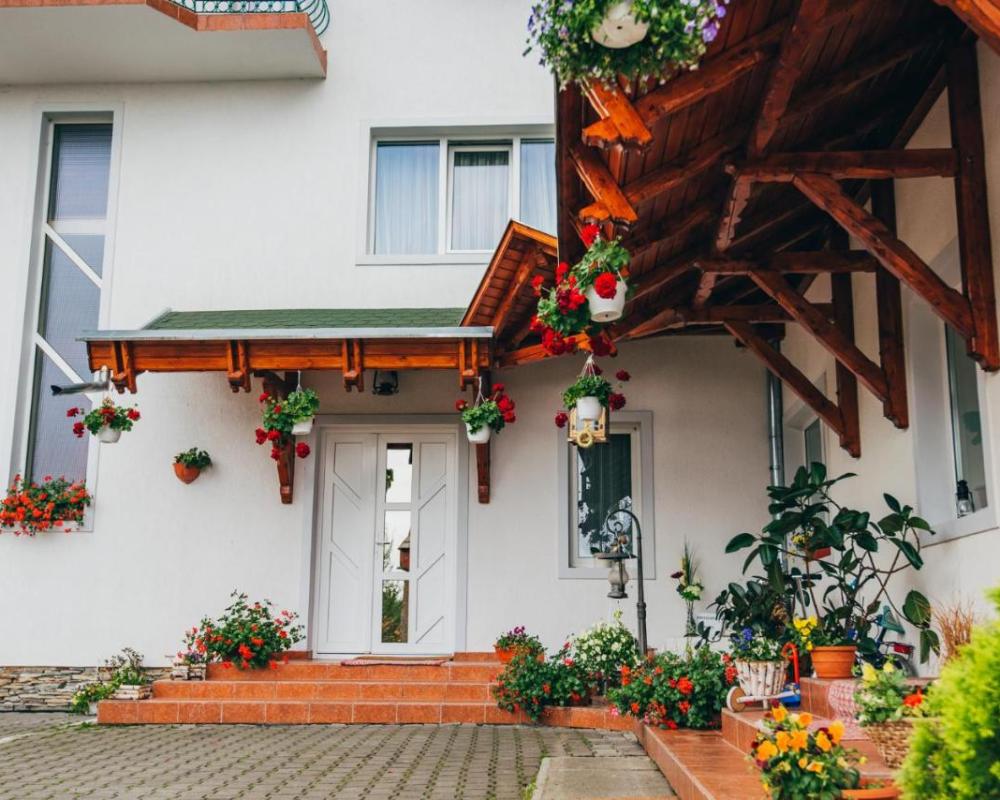фото Szandy