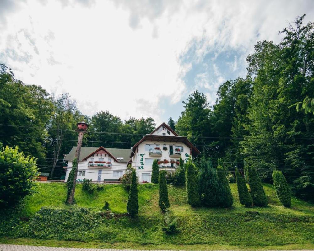фото Szandy