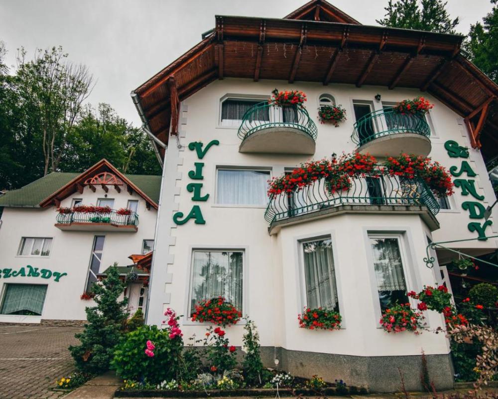 фото Szandy