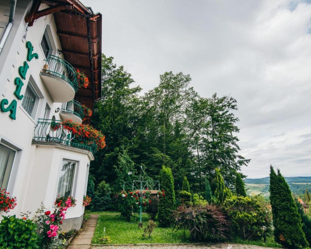 фото Szandy