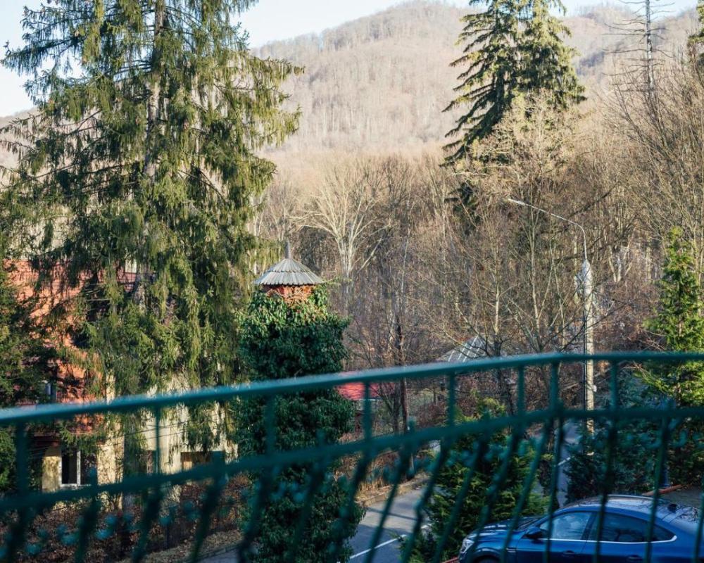 фото Szandy