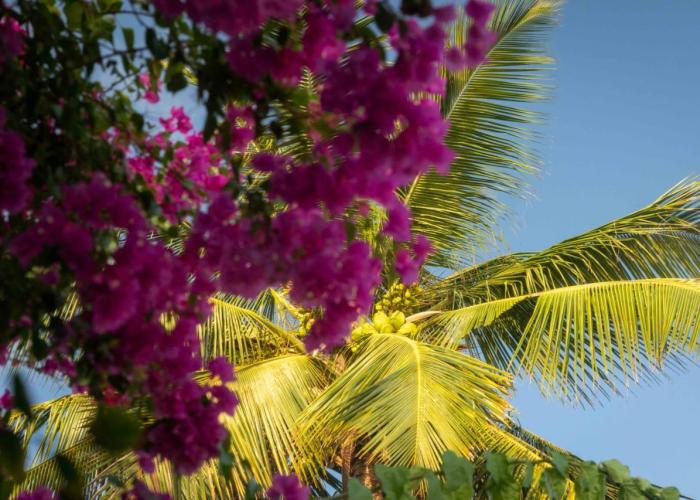 Sharazad Boutique Hotel