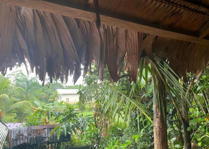 Casa do Xingú