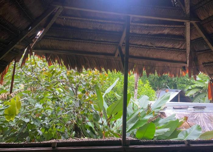Casa do Xingú