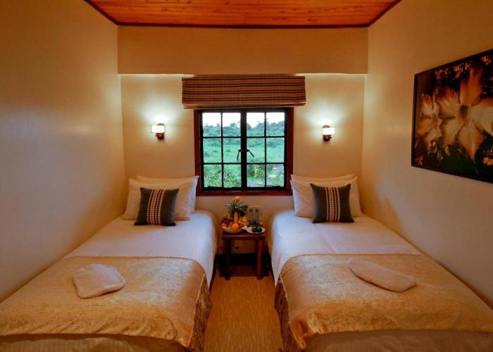 The Ark Lodge