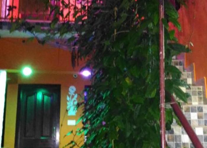 Jungleparadiso Homestay