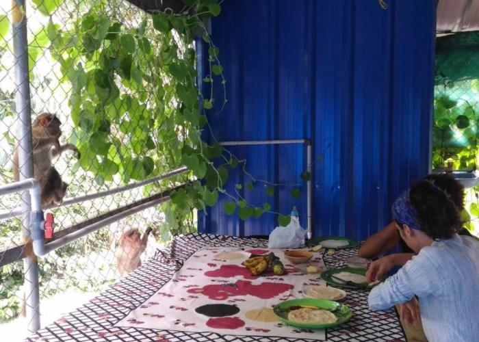 Jungleparadiso Homestay