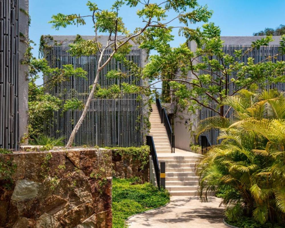 фото W Punta de Mita