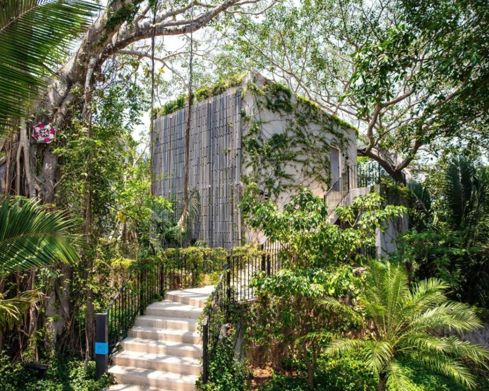 фото W Punta de Mita
