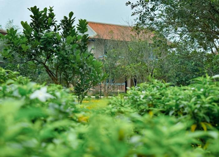 Hue Ecolodge