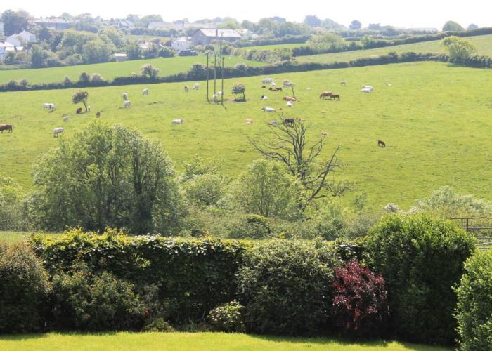 Trevanger Farm Bed and Breakfast