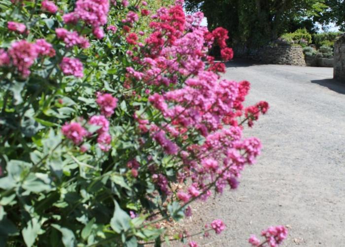 Trevanger Farm Bed and Breakfast