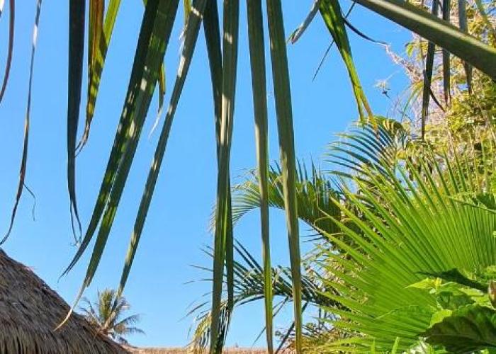 Chez Hiva (Town & Beach) Hostal - SERNATUR: 34383
