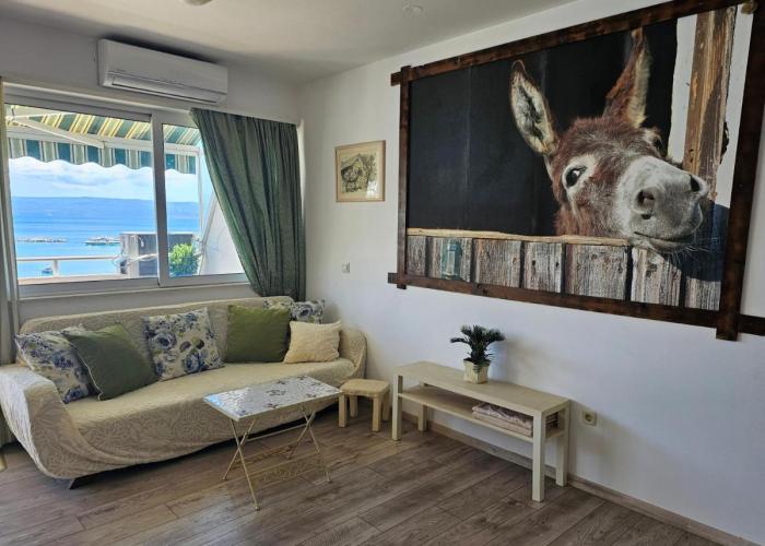 apartment with a magical view