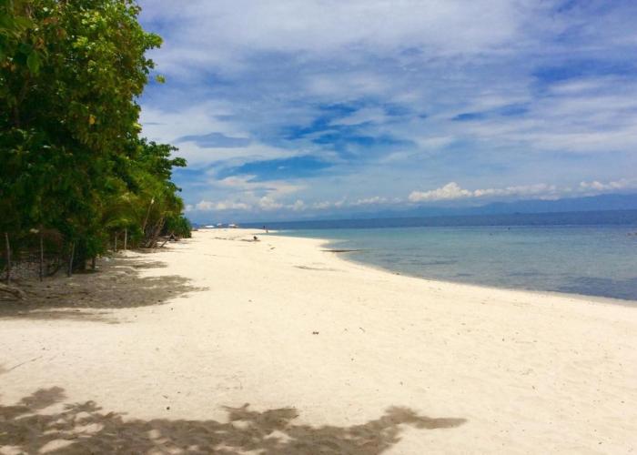 Ravenala Beach Bungalows