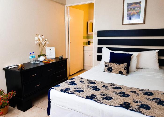 Eventuality B&B New Kingston
