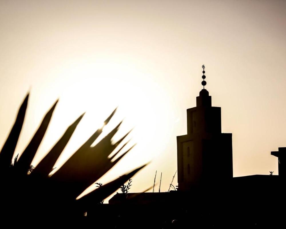 фото Zerad